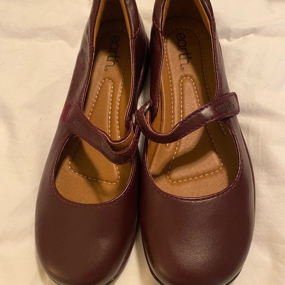 Earth Burgundy Mary Jane Dress Shoes
